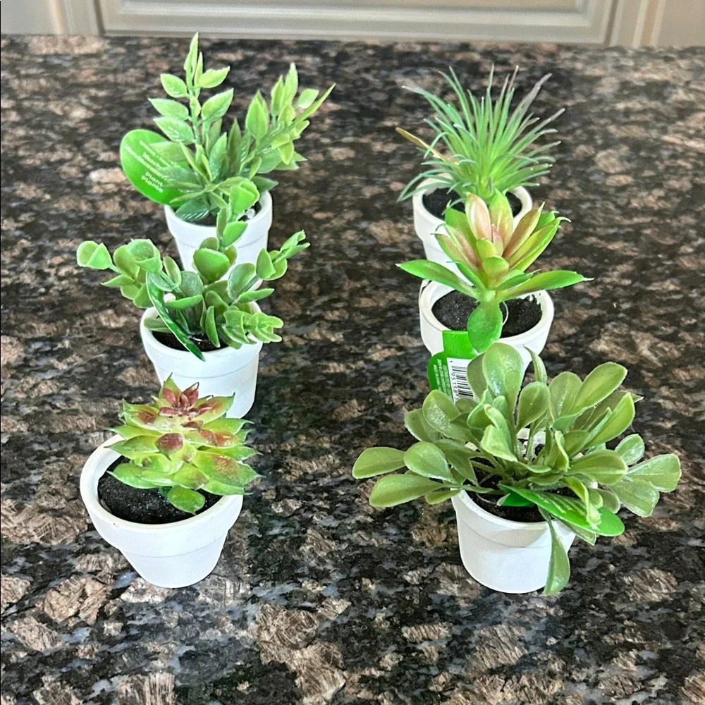 ASHLAND FAUX ASSORTED GREEN SUCCULENTS & MICRI PREMADE PLANTS LOT IF 6 NWT